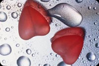 Wet Hearts Background