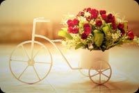 Romantic Roses Bicycle Background