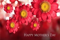 Flowers For Mom On Mother's Day Background