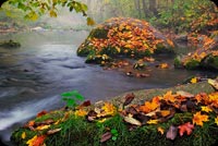 Autumn Stream Background