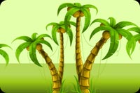 Coconut Trees Background