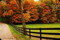 Fall Nature Fences Background