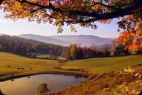 Amazing Autumn Landscape Background