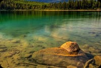 Lake & Trees Landscape Background