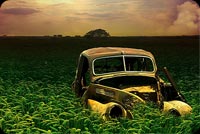 Old Beetle Car On The Wheat Field Background