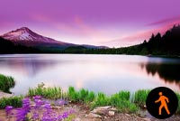 Animated Beautiful Scenery Background