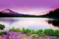 Animated: Purple Mountain Lake email background