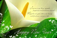 New Year With Lovely Wish Background