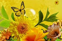 Spring Garden Butterfly & Bird Background