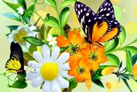 Wonders Of Spring Background