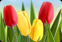 Cheerful Tulips Background