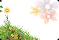 Bloom Spring Background