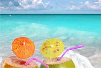 Summer Beach Relax Background