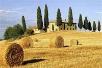 Countryside At Summer Background