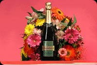 Animated Champagne and Flowers email background