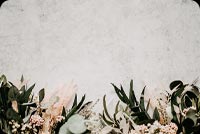 Green Plant On White Concrete Floor Background