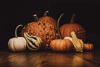 Orange And White Pumpkins Background