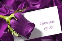 Purple Love Greeting Background