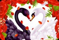Valentine Heart Love Swans Background