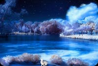 Winter Lake At Night Background