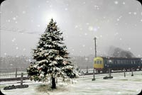 Christmas Tree & A Train Background