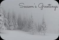 Photo Of A Beautiful Winter Scene Background