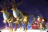 Santa & Reindeer Christmas Night Background