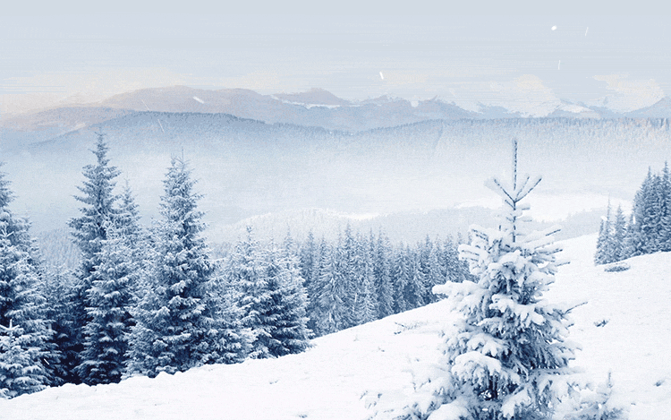 Animated Snowing Winter Scene Email Backgrounds | ID#: 23141 |  