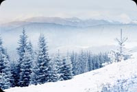Animated Snowing Winter Scene email background
