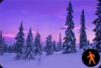 Animated Snowfall Forest Background