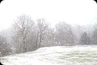 Animated: Snowy Winter Landscape email background