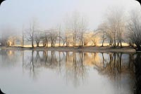 Animated: Frosty Trees by Water email background